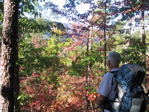 Dad enjoys the view