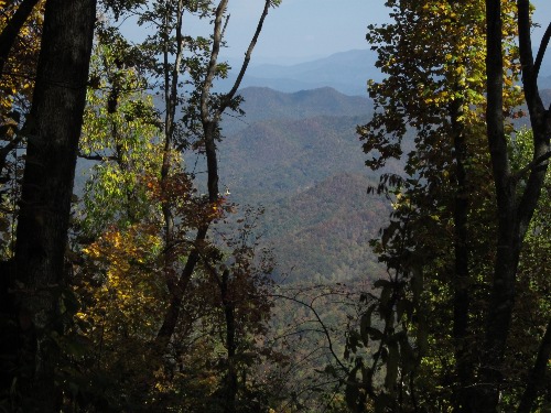 A nice view from the trail