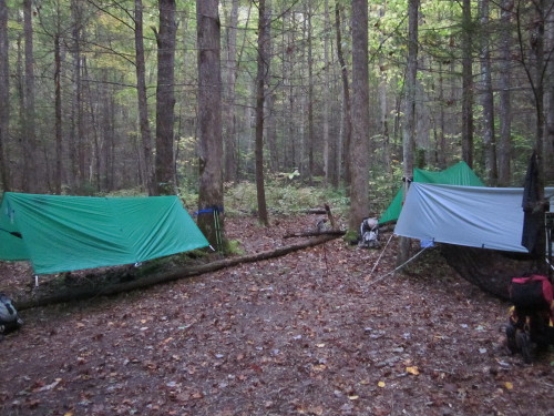 Campsite by Slickrock Creek