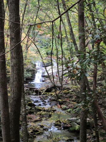 Wildcat Falls