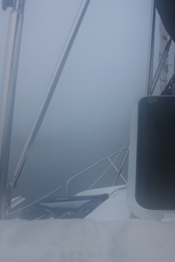 Fog in Ludington