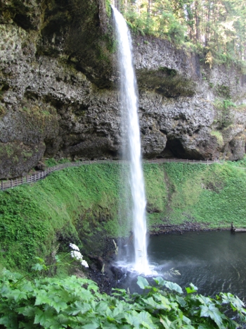 One of many falls in Silver Falls State Park