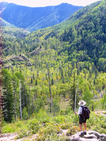 Animas River Valley