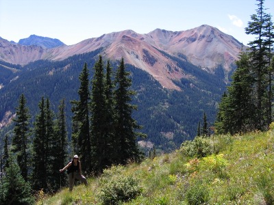 View of Brown Mountain from Richmond Pass Trail (east)