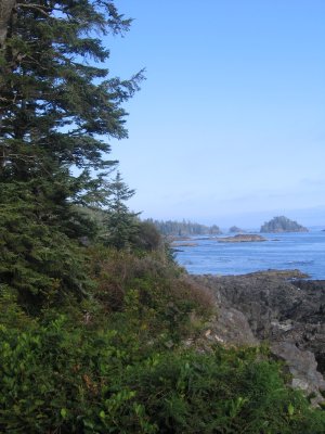 Pacific coast from Ucluelet
