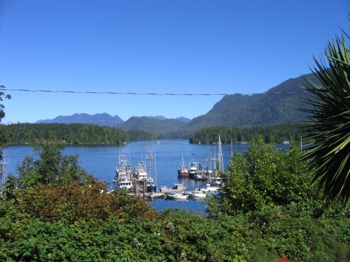 Our view from the Tofino Motel