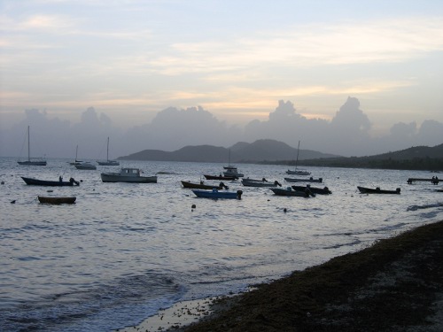 Boats at sunset in Esperanza